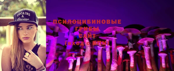бошки Арсеньев