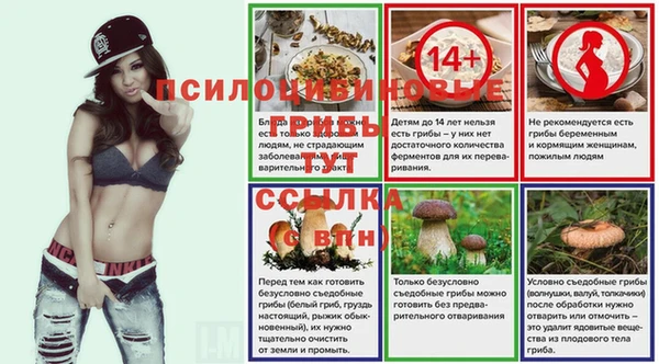 бошки Арсеньев