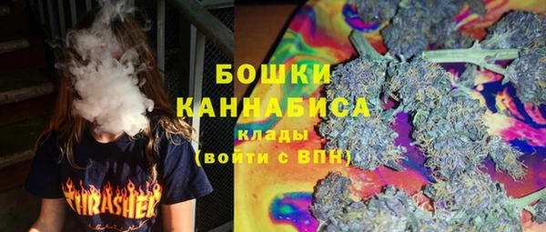 PSILOCYBIN Армянск