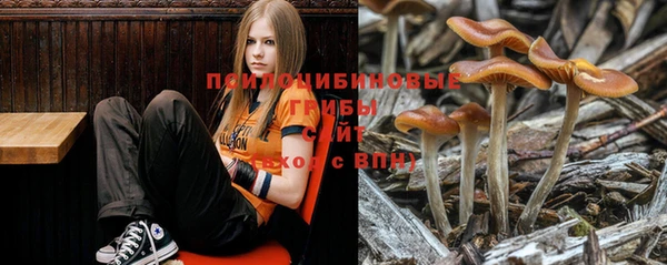 бошки Арсеньев