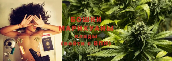 молекула духа Осташков