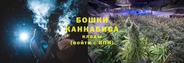 PSILOCYBIN Армянск